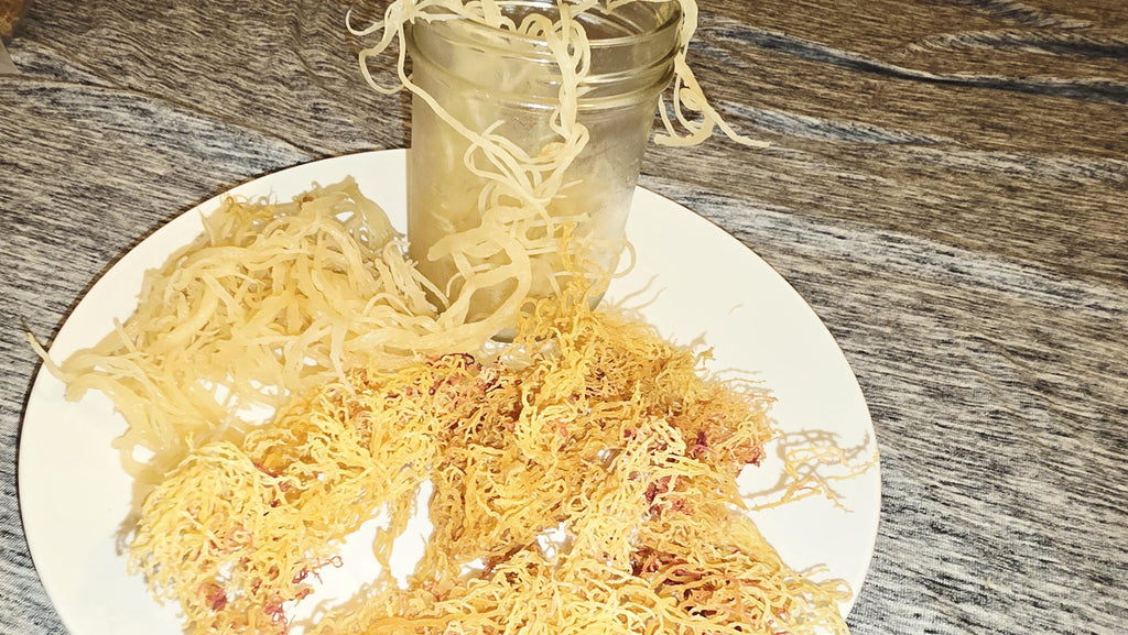 Belazean Sea Moss Gel – 8oz Glass Jar