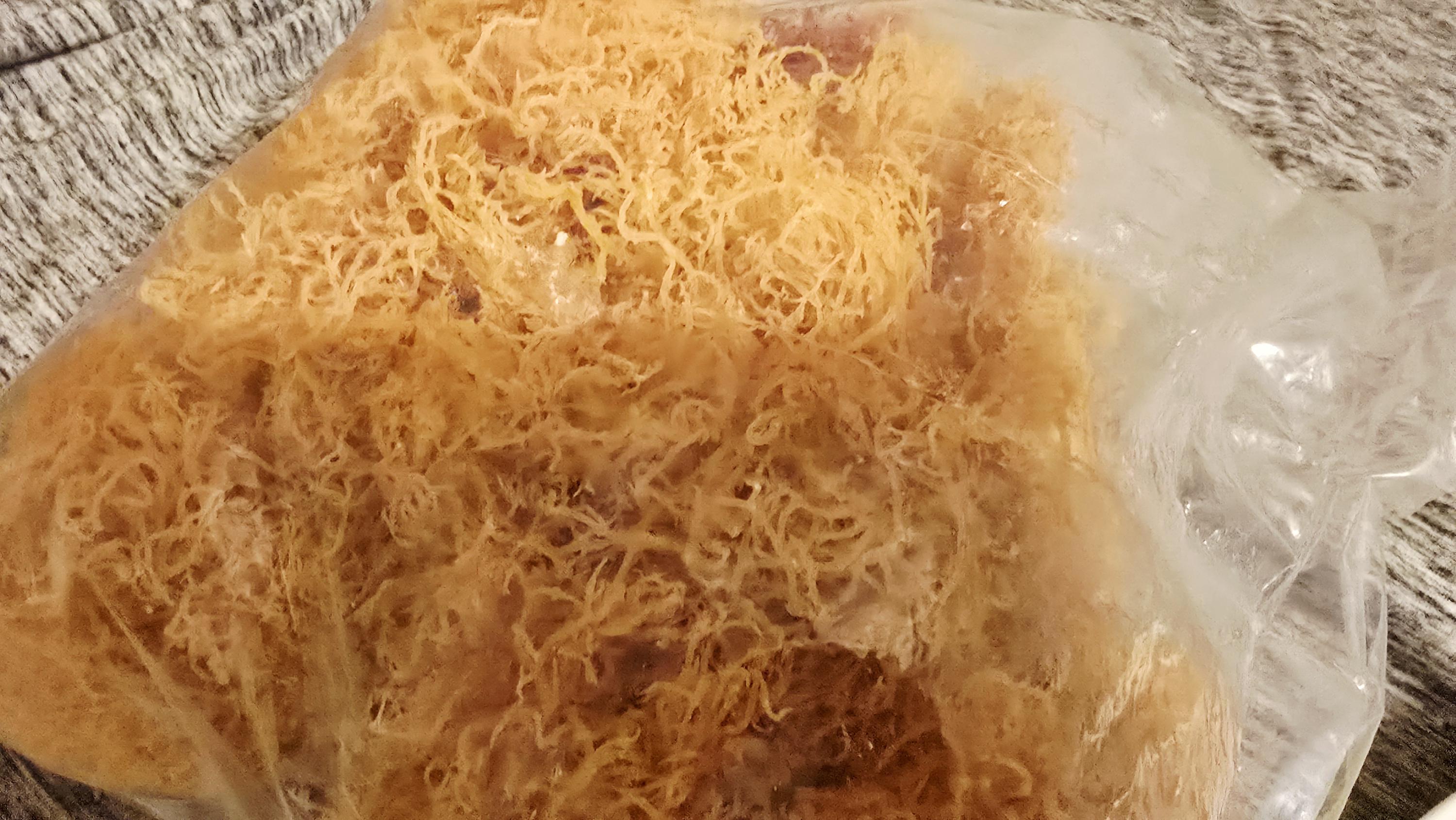 Belize Wildcrafted Dried Sea Moss – Luxury Mineral Sea Superfood (4 oz)