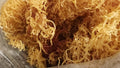 Belize Wildcrafted Dried Sea Moss – Luxury Mineral Sea Superfood (4 oz)